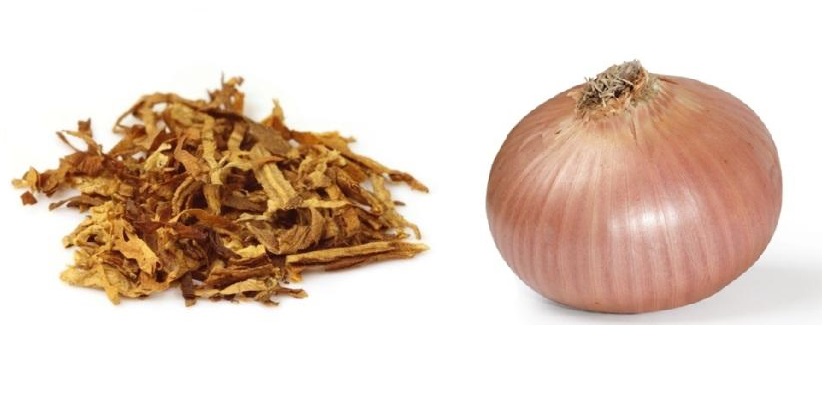 Dal tabacco ... alla cipolla
