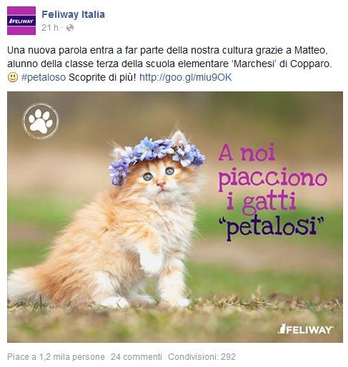 Feliway e il fenomeno petaloso