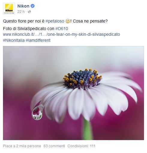 Nikon e il fenomeno Nikon e il fenomeno