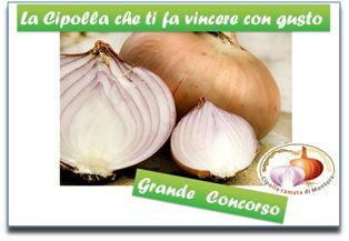 Testata concorso GaiaZIP
